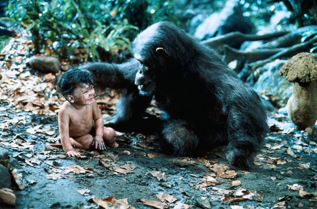 photo-greystoke-la-legende-de-tarzan-greystoke-the-legend-of-tarzan-lord-of-the-apes-1984-7